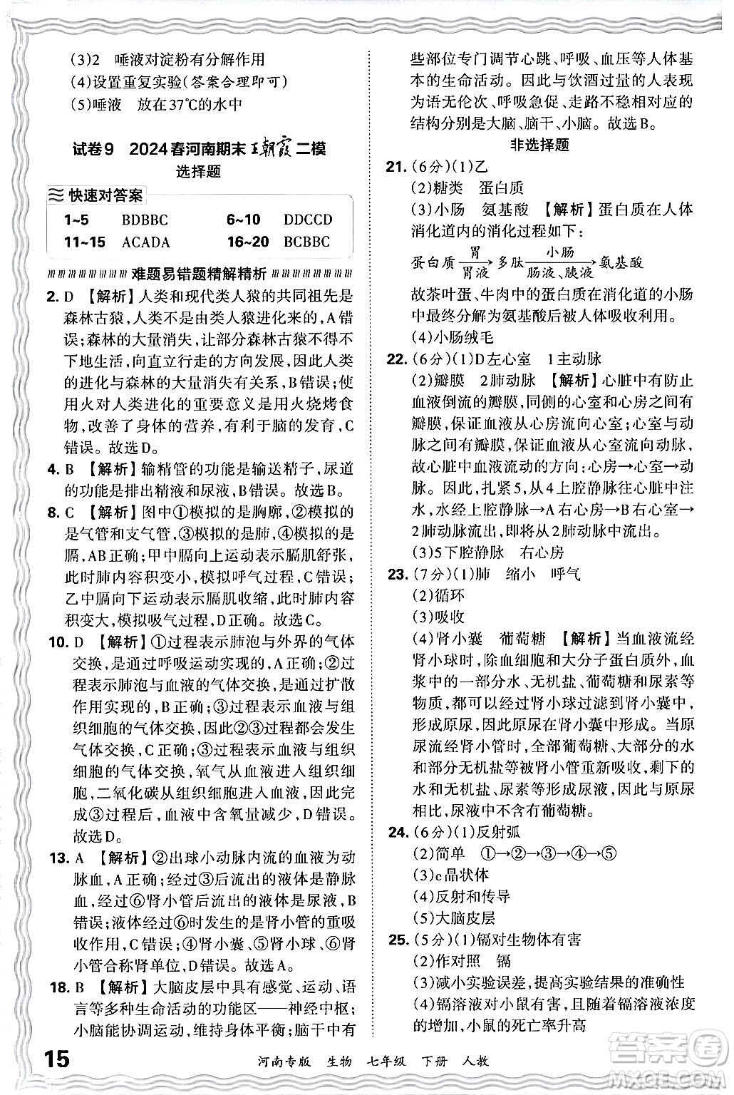 江西人民出版社2024年春王朝霞各地期末試卷精選七年級生物下冊人教版河南專版答案