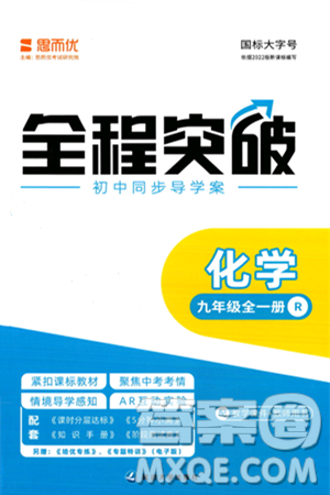 延邊大學出版社2024年春全程突破初中同步導學案九年級化學下冊人教版答案