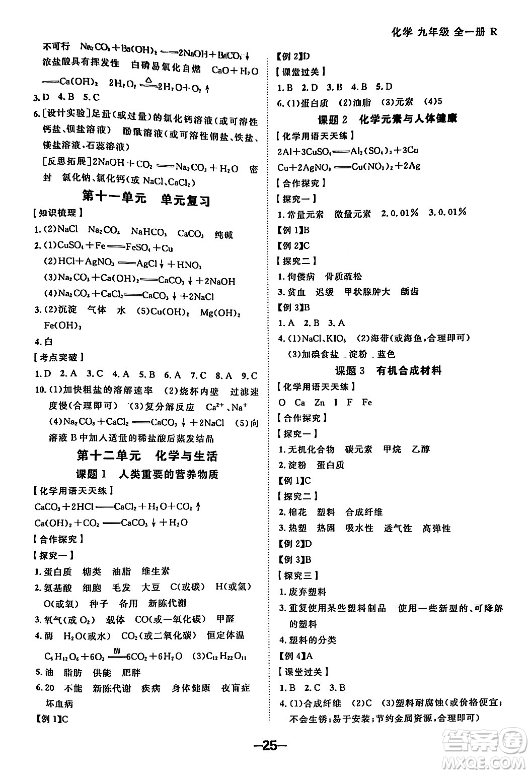 延邊大學出版社2024年春全程突破初中同步導學案九年級化學下冊人教版答案