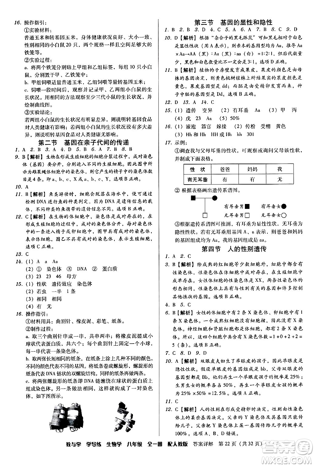 安徽人民出版社2024年春教與學(xué)學(xué)導(dǎo)練八年級生物下冊人教版答案