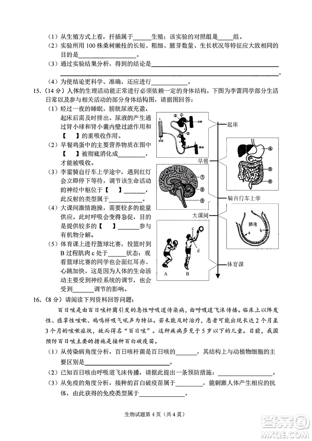 2024南充中考生物真題答案