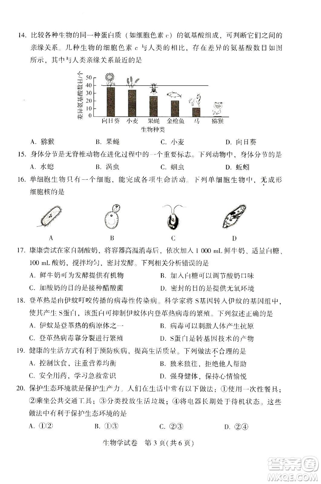 2024河南中考生物真題答案