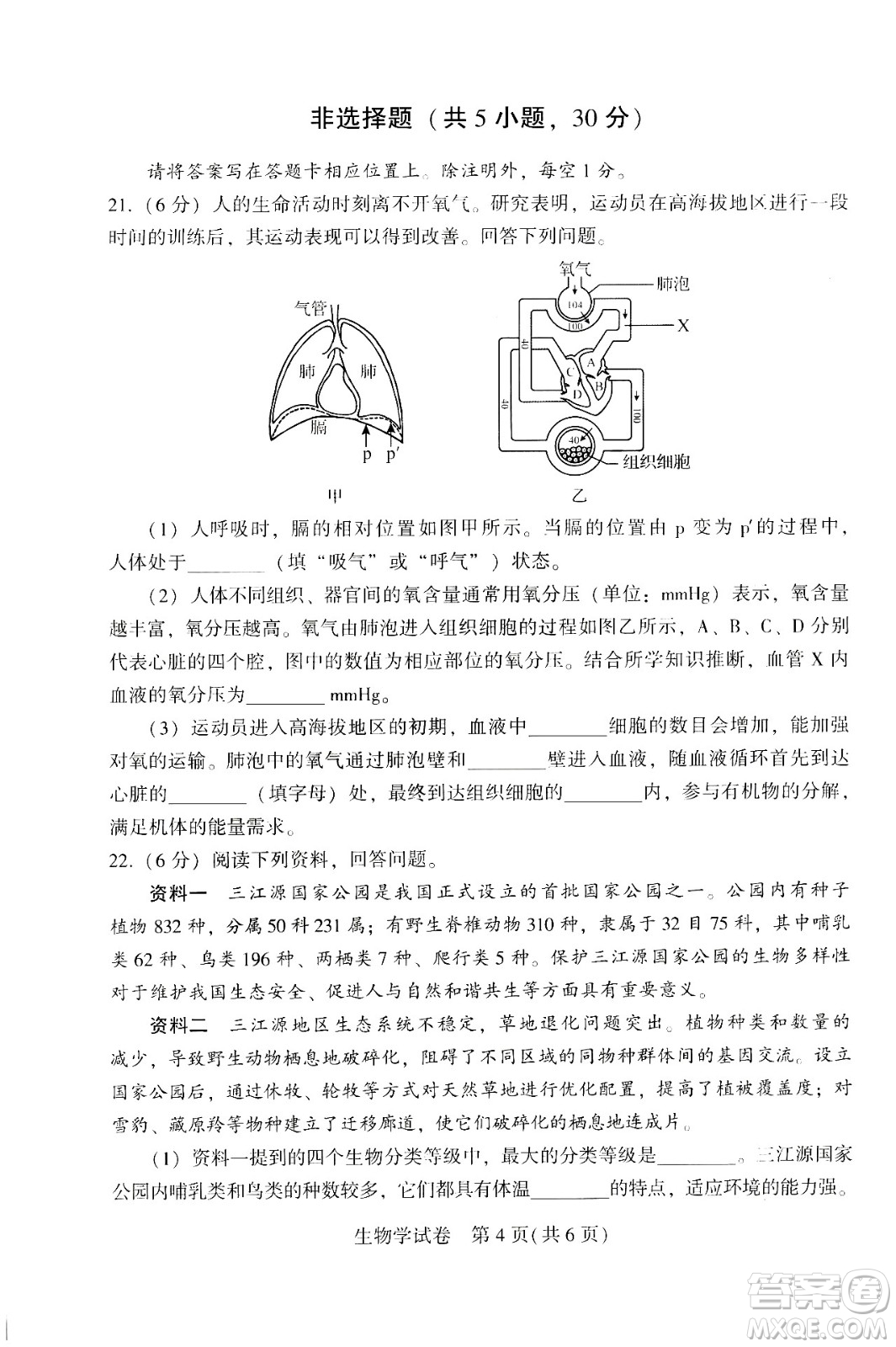 2024河南中考生物真題答案