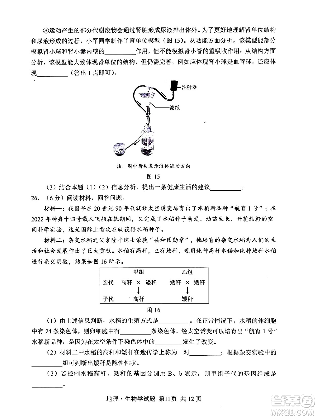 2024湖北中考生物真題答案