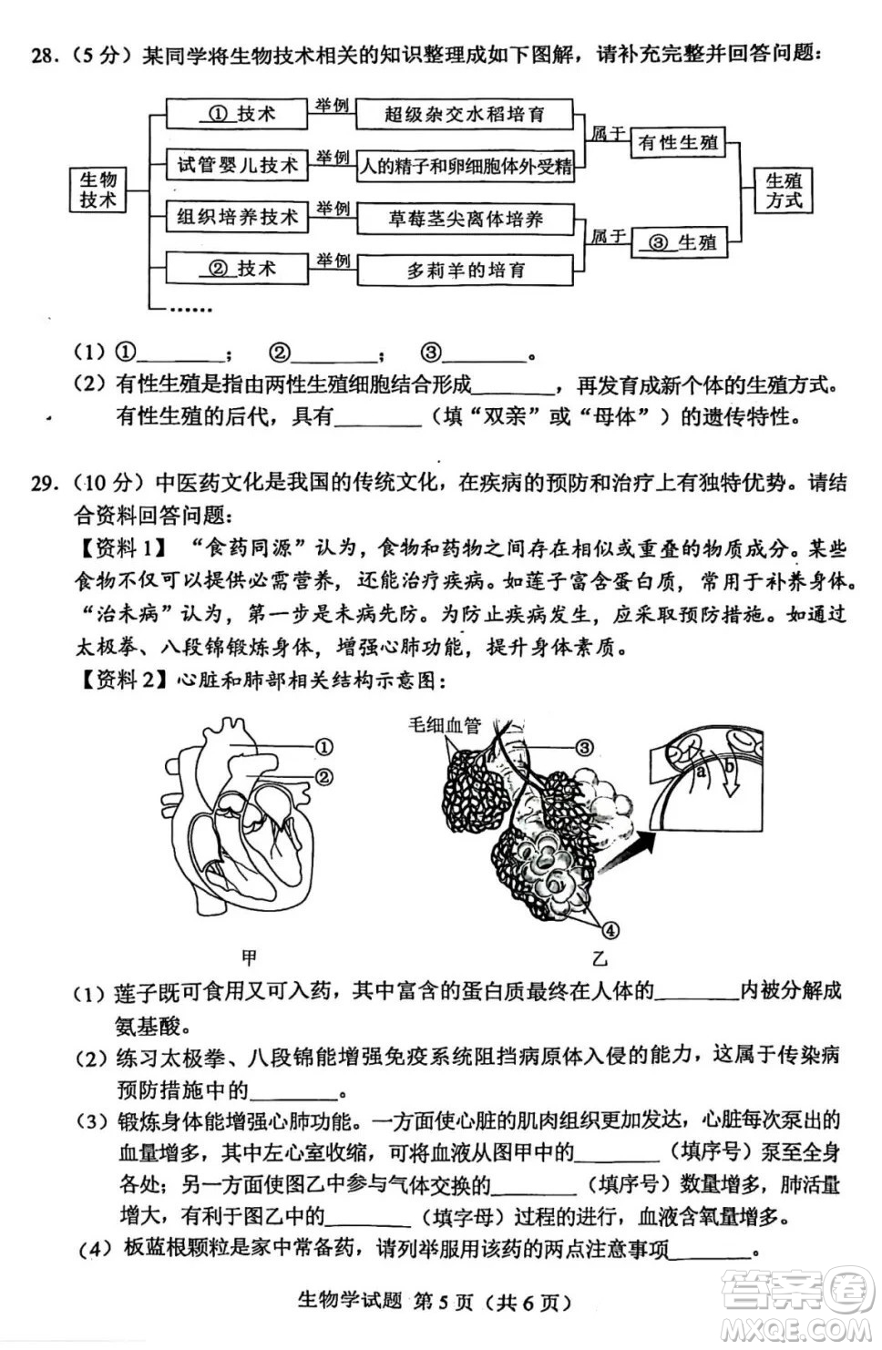 2024湖南中考生物真題答案