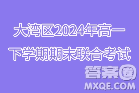 廣東省大灣區(qū)2024年高一下學期期末聯(lián)合考試數(shù)學試題答案