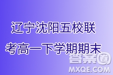 2024年遼寧沈陽(yáng)五校聯(lián)考高一下學(xué)期期末數(shù)學(xué)試題答案