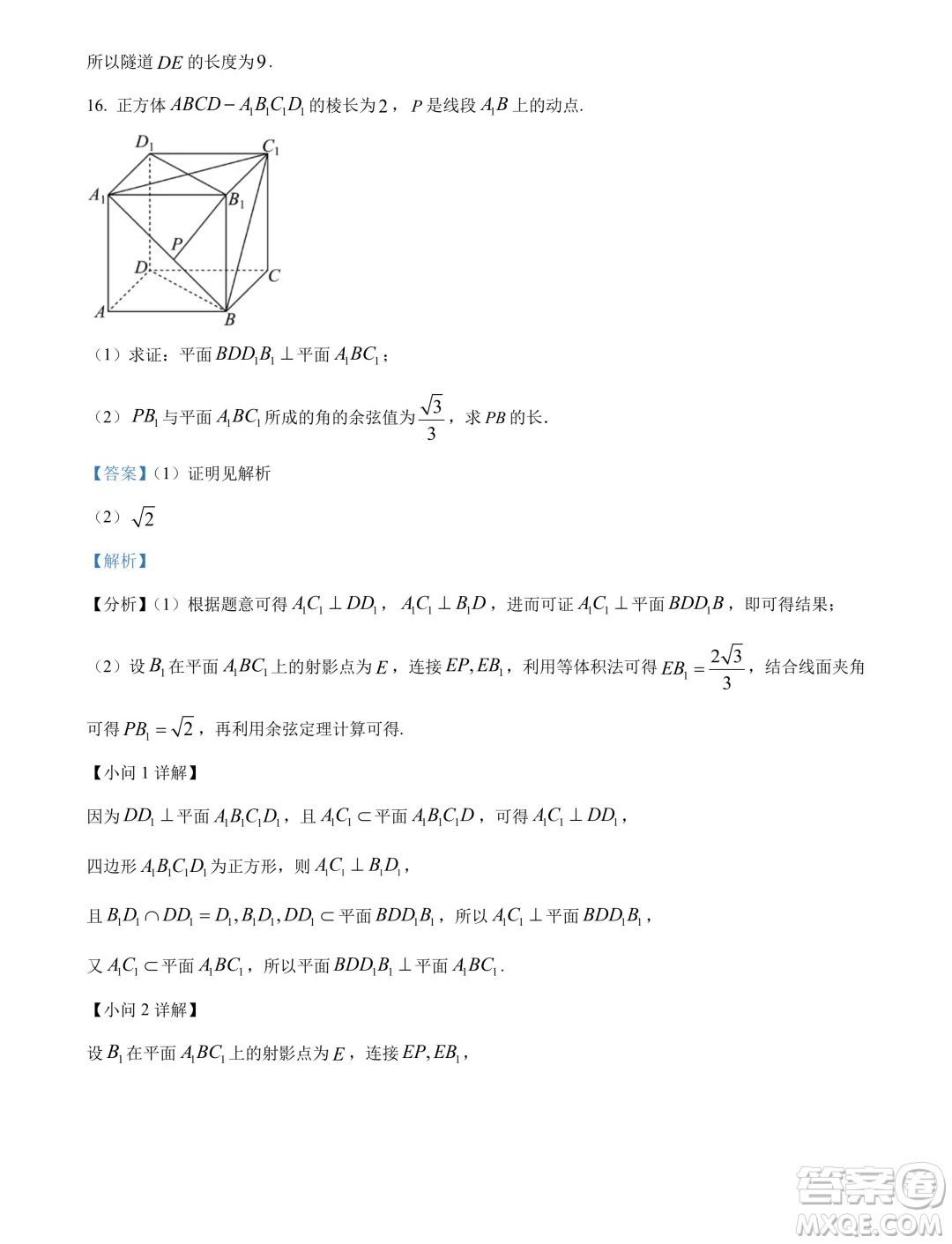 遼寧省名校聯(lián)盟2024年高一下學(xué)期7月期末考試數(shù)學(xué)試題答案