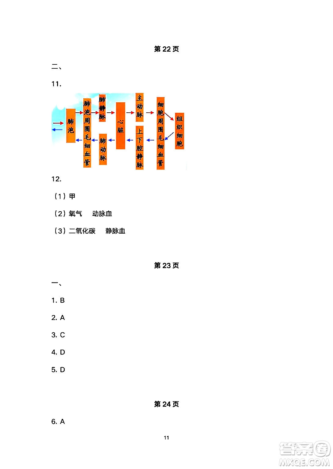 安徽教育出版社2024年暑假生活七年級(jí)生物人教版答案