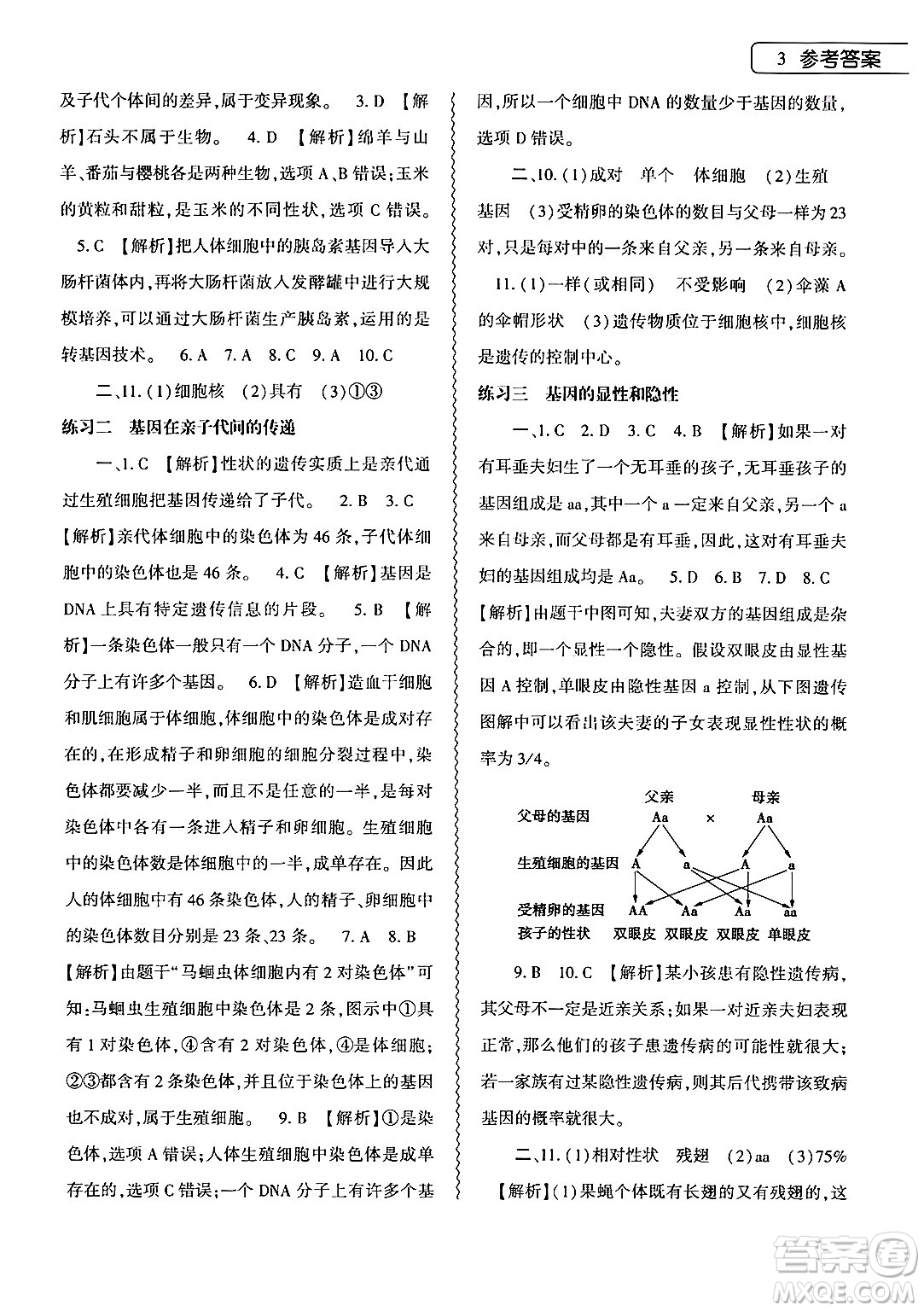 大象出版社2024年生物學(xué)暑假作業(yè)本八年級(jí)生物人教版答案