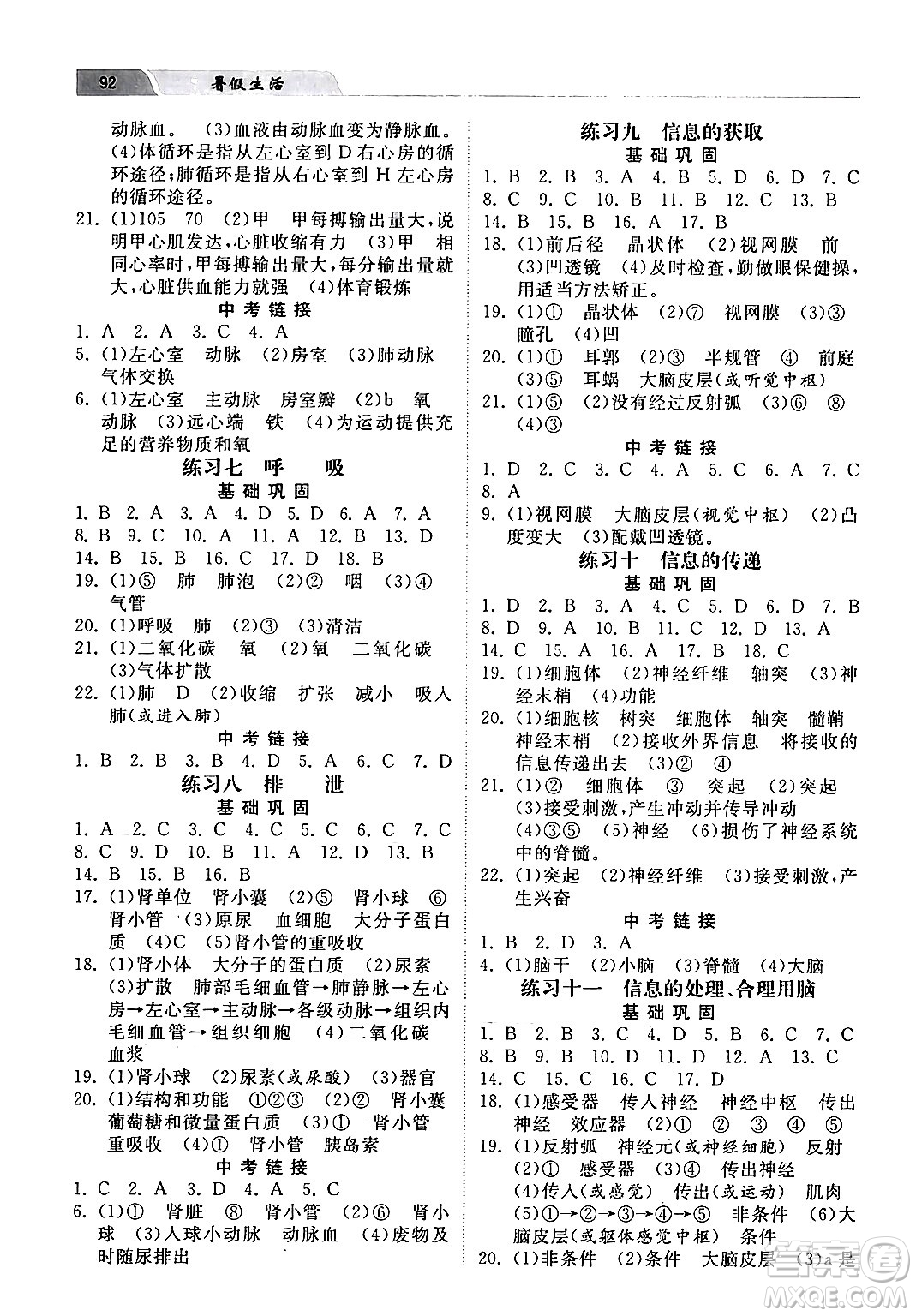 河北美術(shù)出版社2024年暑假生活七年級生物江蘇版答案