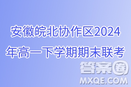 安徽皖北協(xié)作區(qū)2024年高一下學(xué)期期末聯(lián)考數(shù)學(xué)試卷答案