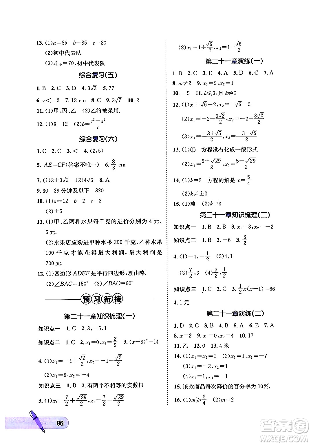 河北少年兒童出版社2024年桂壯紅皮書暑假天地八年級(jí)數(shù)學(xué)通用版答案