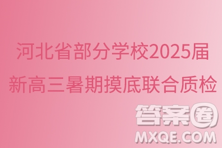 河北省部分學校2025屆新高三暑期摸底聯(lián)合質(zhì)檢數(shù)學試題答案