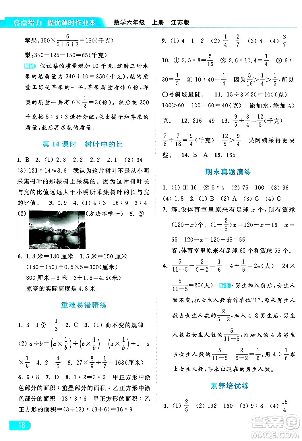 北京教育出版社2024年秋亮點(diǎn)給力提優(yōu)課時(shí)作業(yè)本六年級(jí)數(shù)學(xué)上冊(cè)江蘇版答案