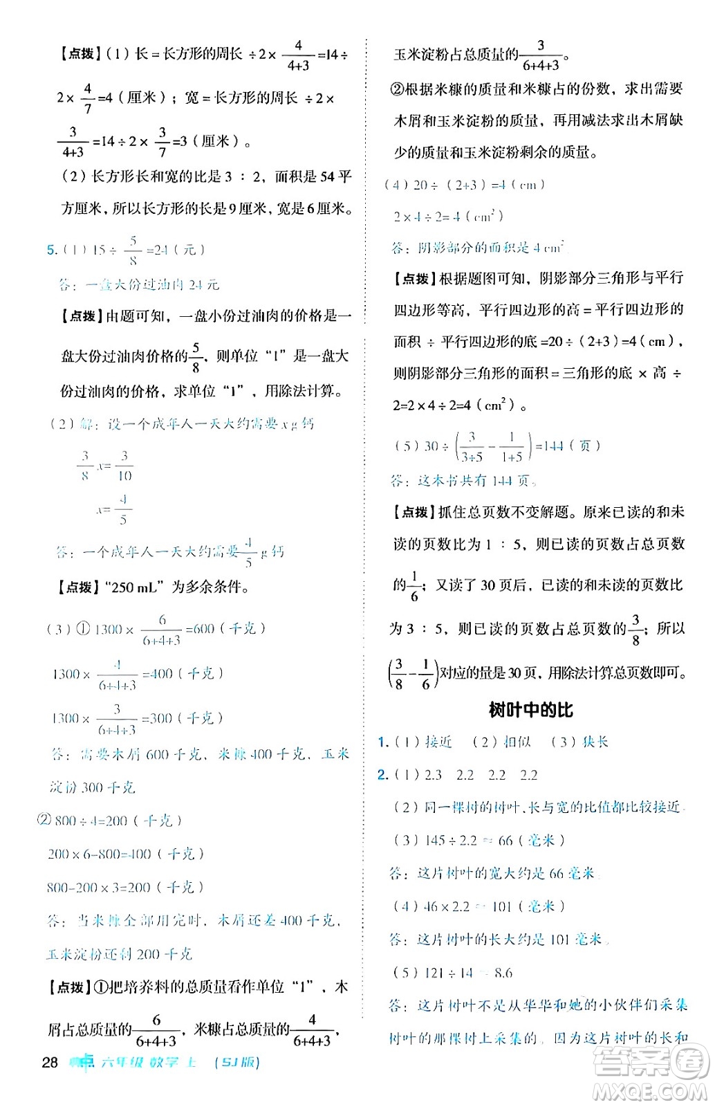 吉林教育出版社2024年秋綜合應(yīng)用創(chuàng)新題典中點(diǎn)六年級(jí)數(shù)學(xué)上冊(cè)蘇教版答案