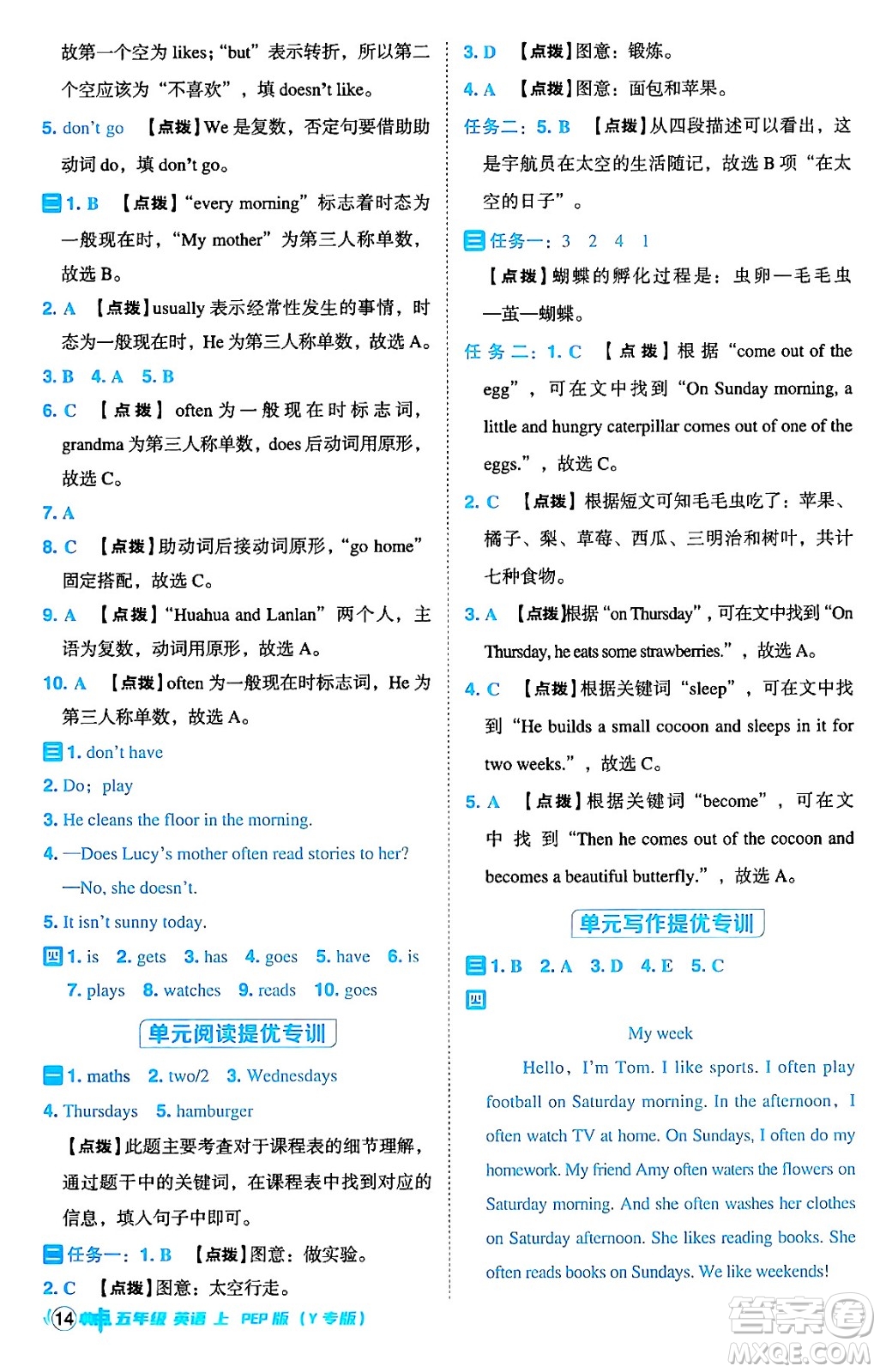 陜西師范大學(xué)出版總社有限公司2024年秋綜合應(yīng)用創(chuàng)新題典中點五年級英語上冊人教PEP版答案