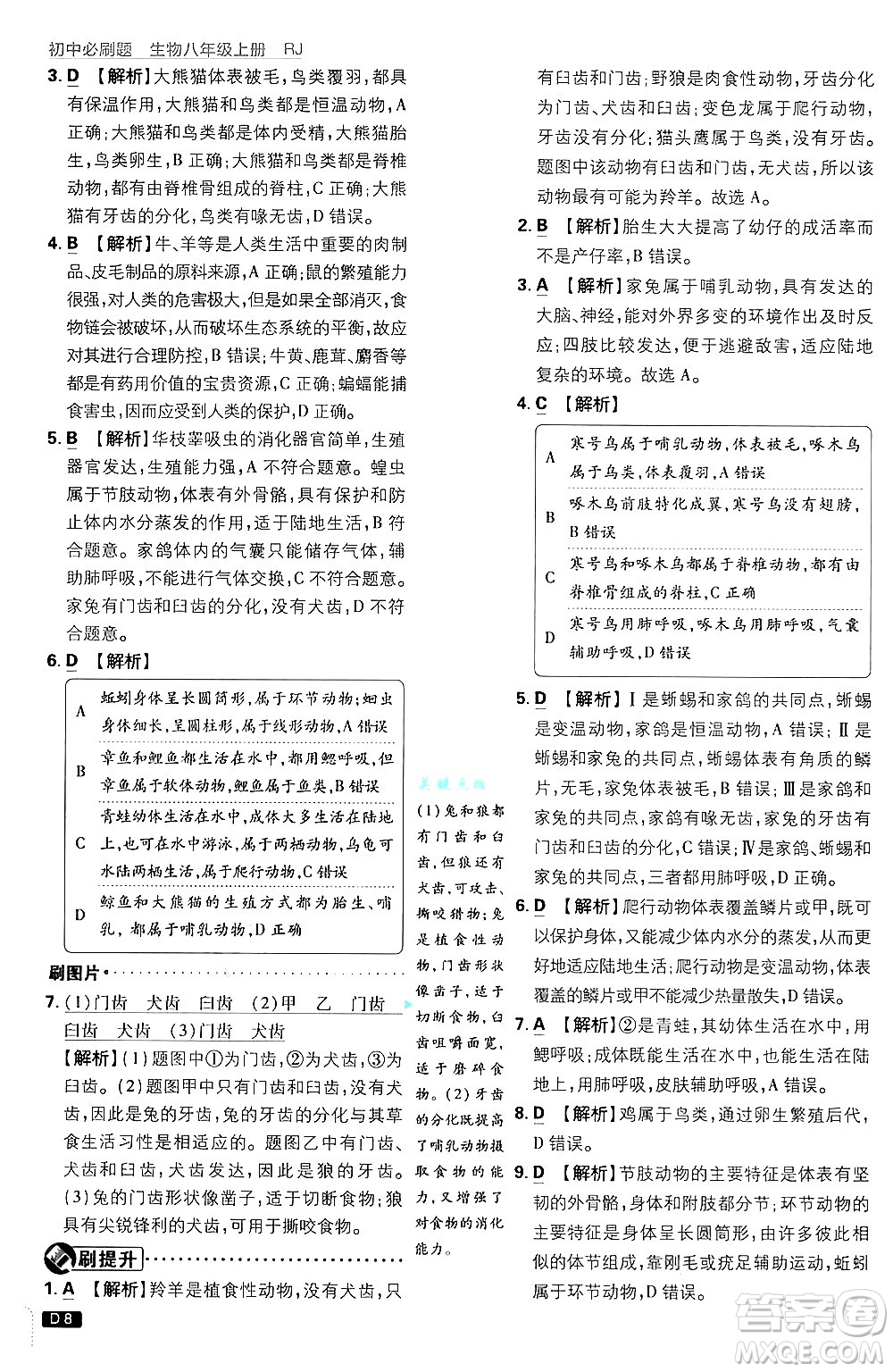 開明出版社2025屆初中必刷題拔尖提優(yōu)訓(xùn)練八年級(jí)生物上冊(cè)人教版答案