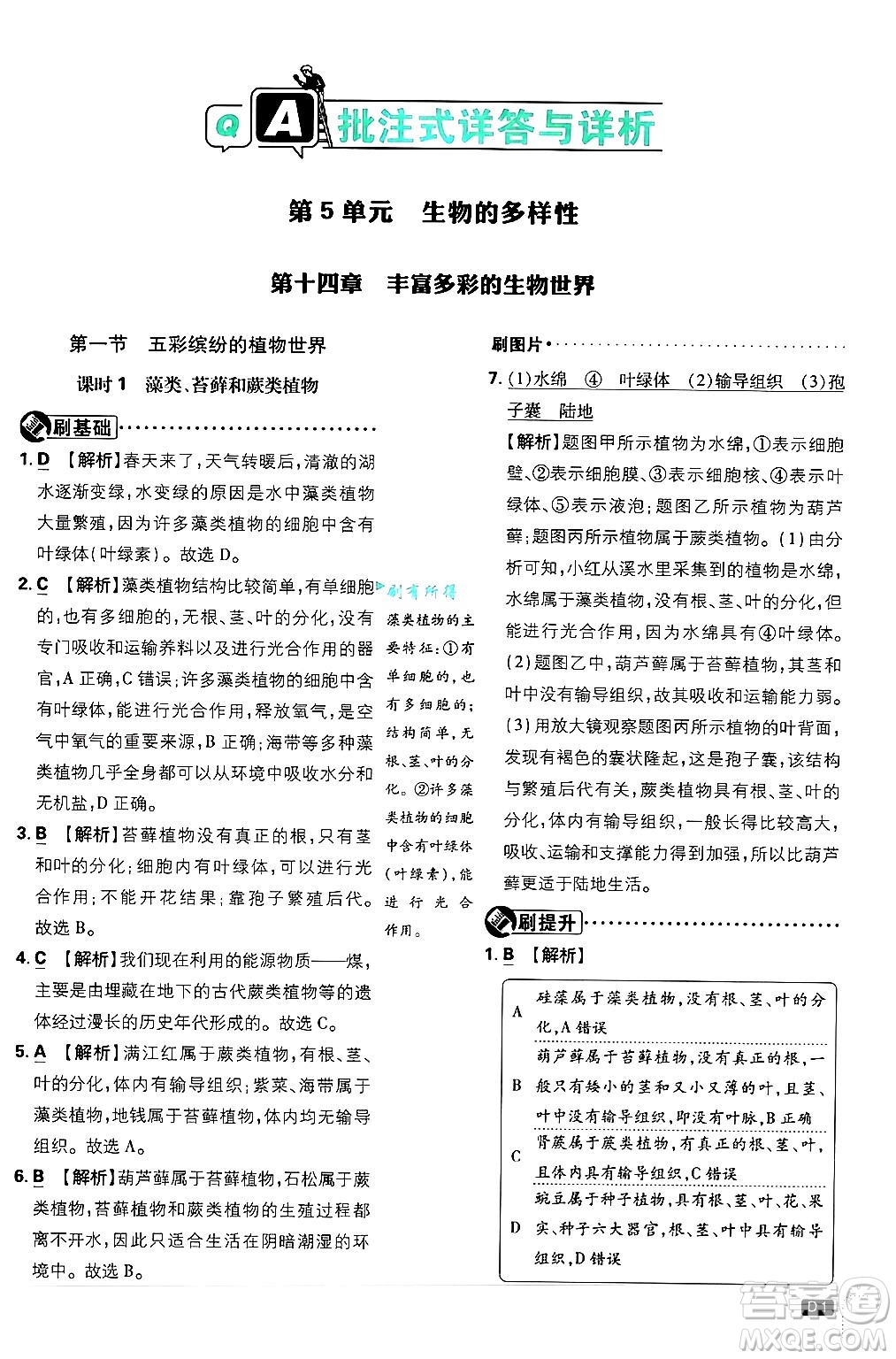 開明出版社2025屆初中必刷題拔尖提優(yōu)訓(xùn)練八年級(jí)生物上冊蘇教版答案