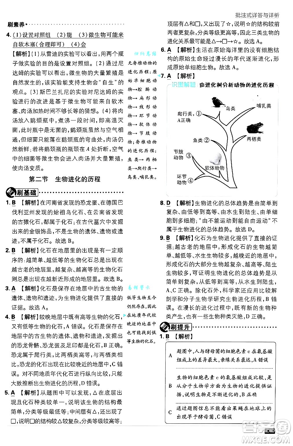 開明出版社2025屆初中必刷題拔尖提優(yōu)訓(xùn)練八年級(jí)生物上冊蘇教版答案