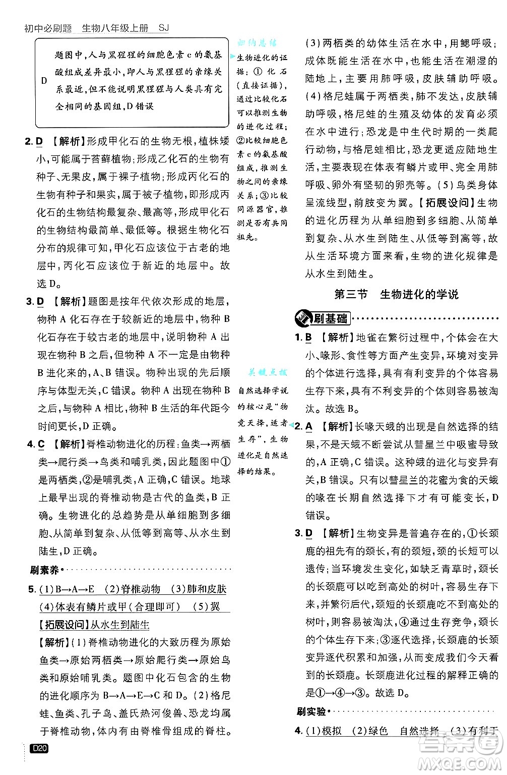 開明出版社2025屆初中必刷題拔尖提優(yōu)訓(xùn)練八年級(jí)生物上冊蘇教版答案