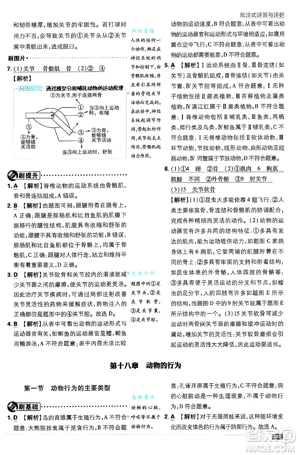 開明出版社2025屆初中必刷題拔尖提優(yōu)訓(xùn)練八年級(jí)生物上冊蘇教版答案