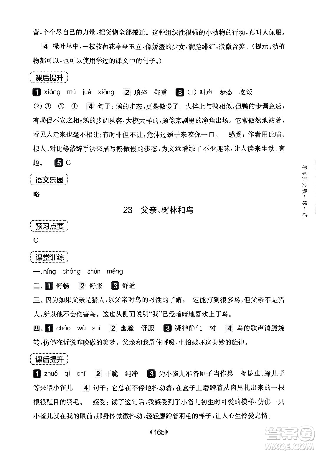 華東師范大學(xué)出版社2024年秋華東師大版一課一練三年級語文上冊華師版上海專版答案