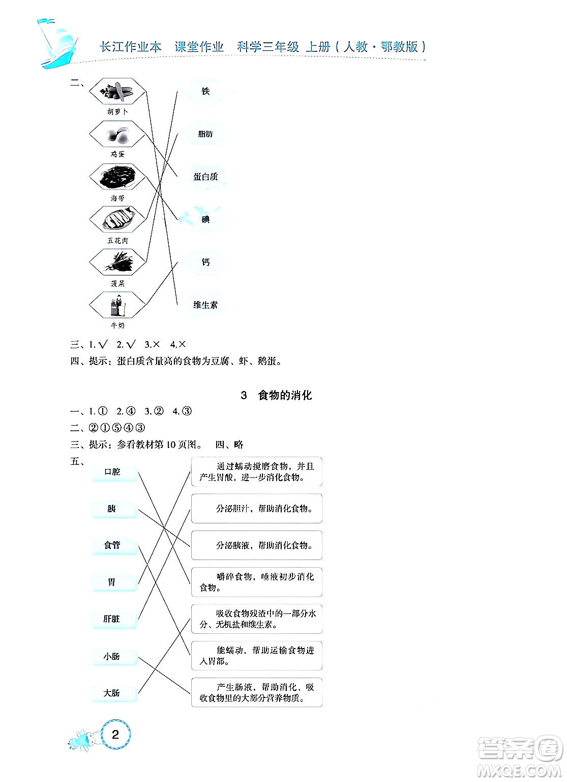 湖北教育出版社2024年秋長江作業(yè)本課堂作業(yè)三年級科學上冊人教版答案