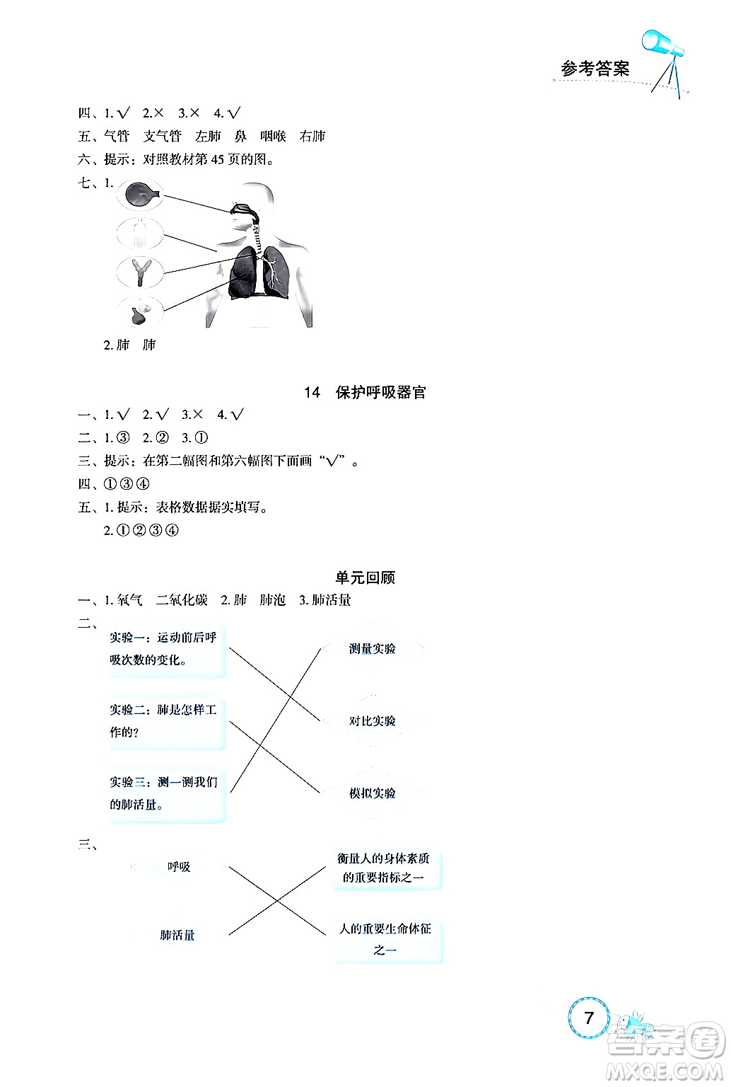 湖北教育出版社2024年秋長江作業(yè)本課堂作業(yè)三年級科學上冊人教版答案