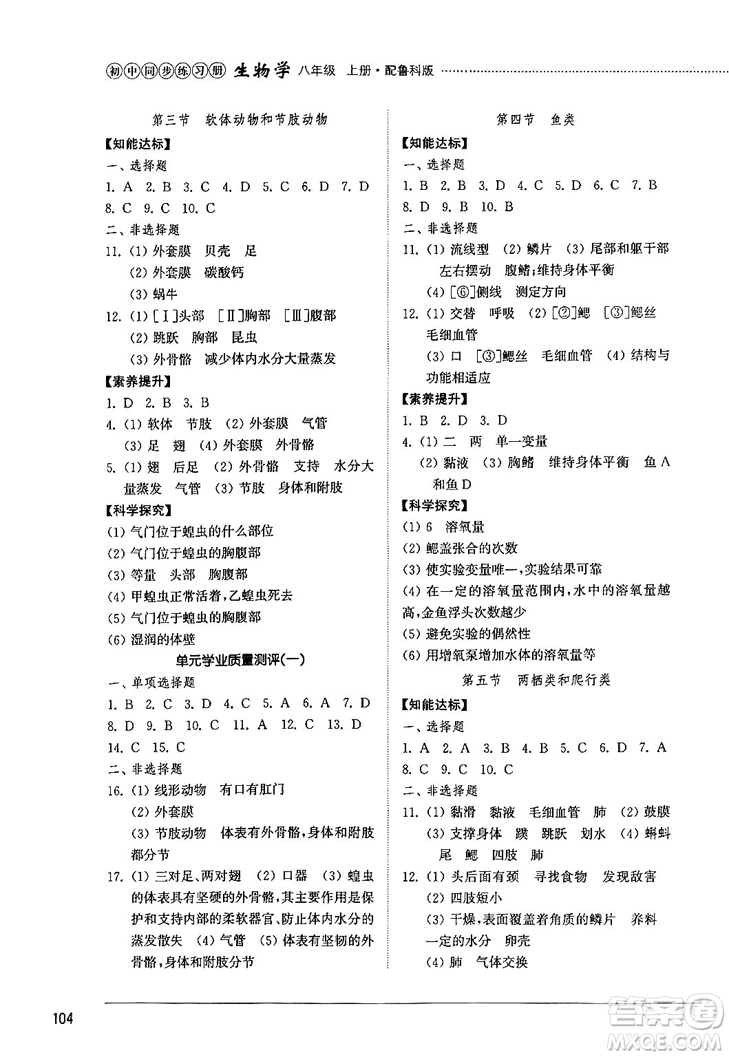 山東教育出版社2024秋初中同步練習(xí)冊八年級生物上冊魯科版五四制答案