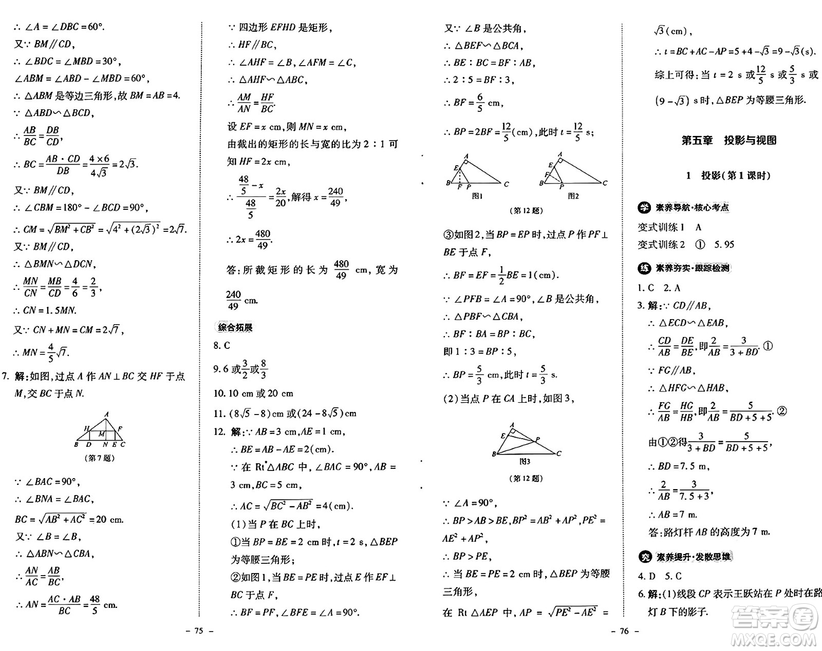 北京師范大學(xué)出版社2024秋初中同步練習(xí)冊九年級數(shù)學(xué)上冊北師大版答案