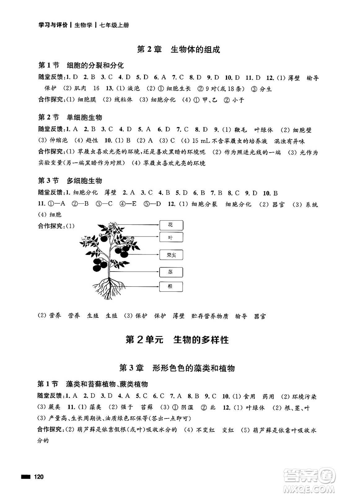 江蘇鳳凰教育出版社2024年秋學(xué)習(xí)與評(píng)價(jià)七年級(jí)生物上冊(cè)蘇科版答案