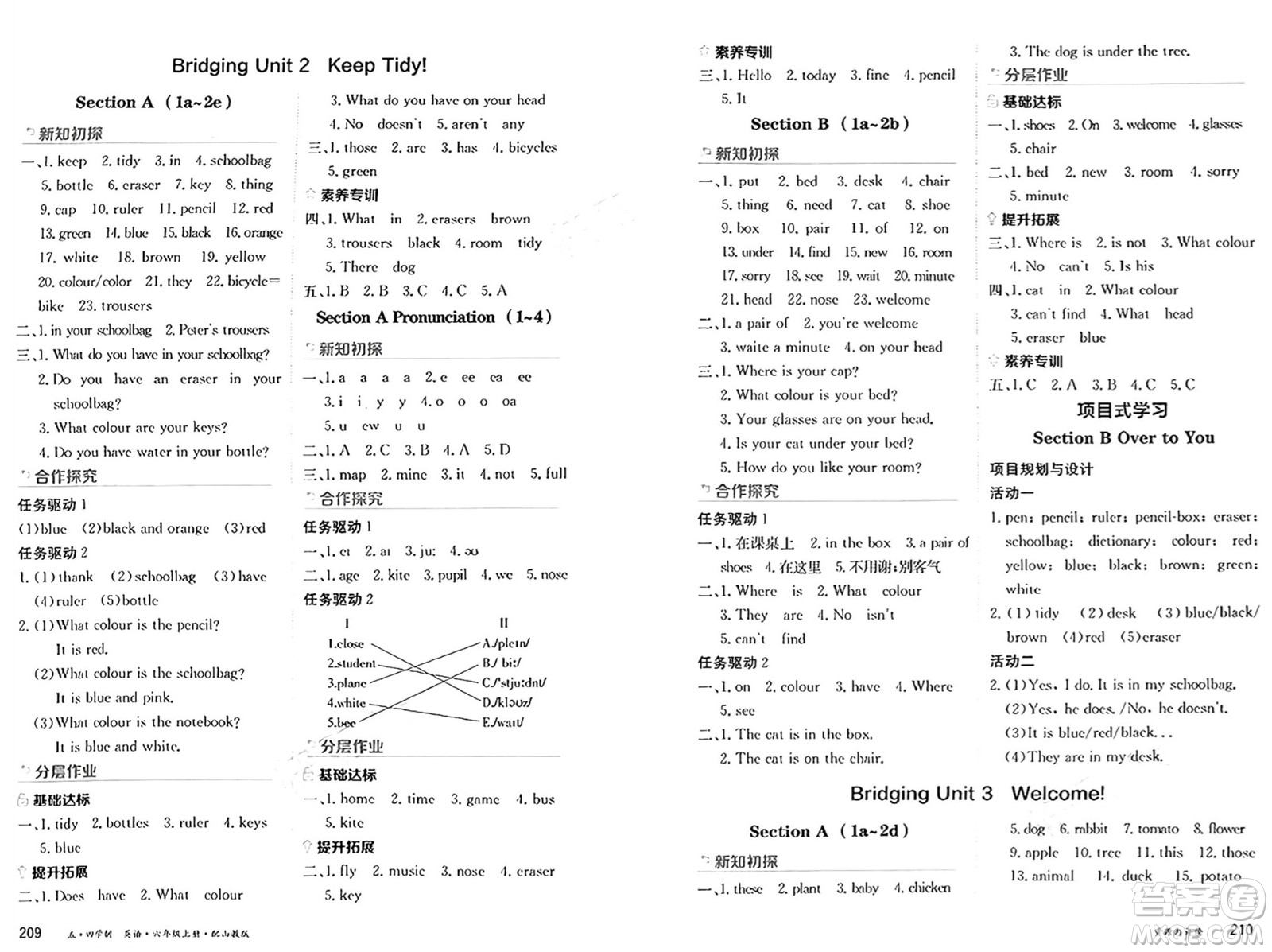 黑龍江教育出版社2024年秋資源與評(píng)價(jià)六年級(jí)英語(yǔ)上冊(cè)山教版黑龍江專版五四制答案