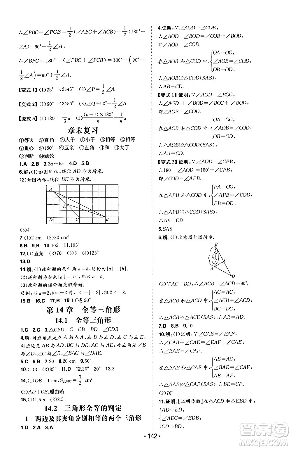 湖南教育出版社2024年秋一本同步訓練八年級數(shù)學上冊滬科版安徽專版答案