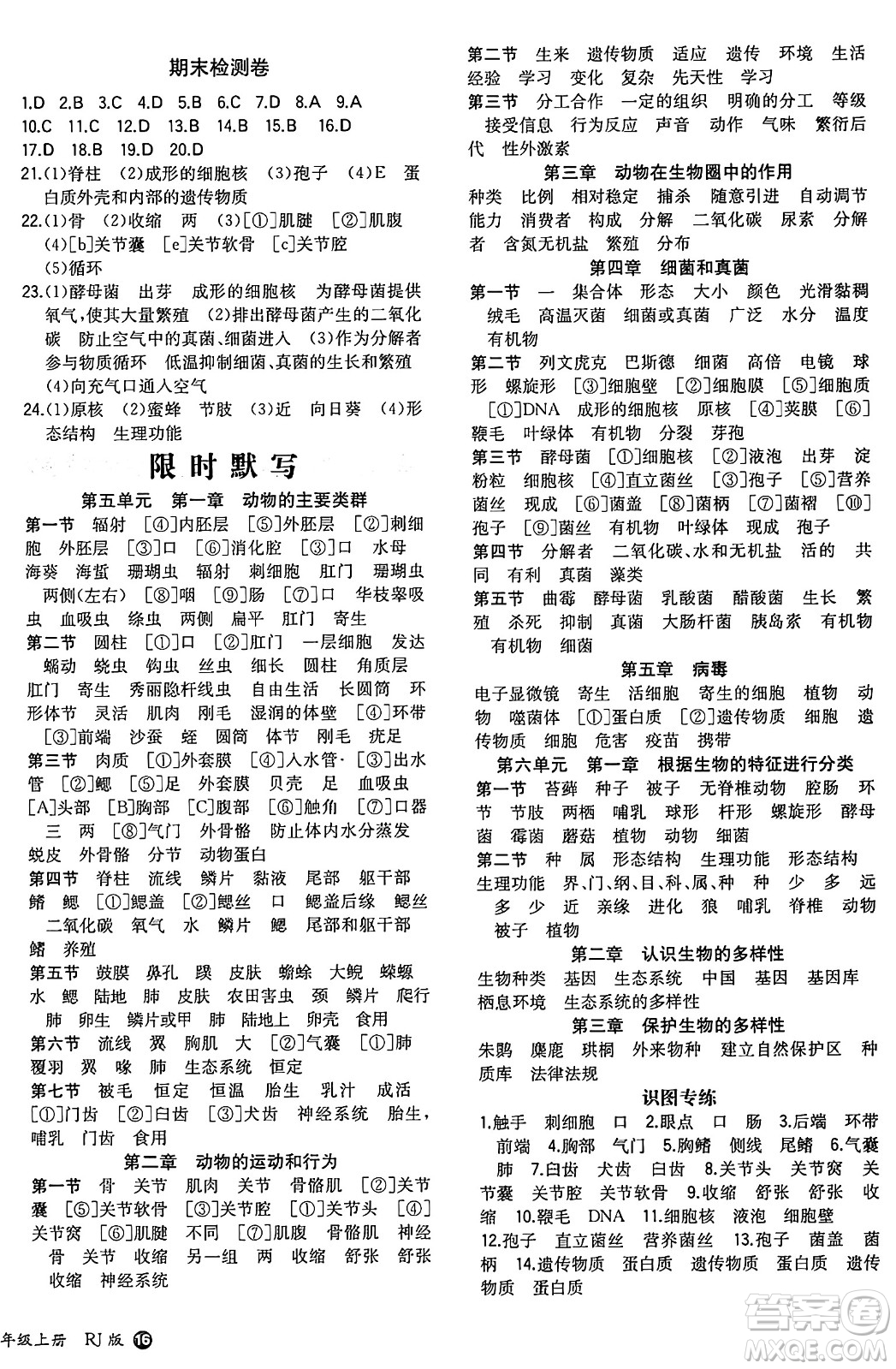 湖南教育出版社2024年秋一本同步訓(xùn)練八年級(jí)生物上冊(cè)人教版答案