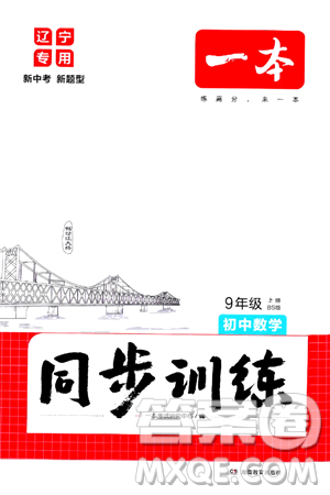 湖南教育出版社2024年秋一本同步訓練九年級數(shù)學上冊北師大版遼寧專版答案