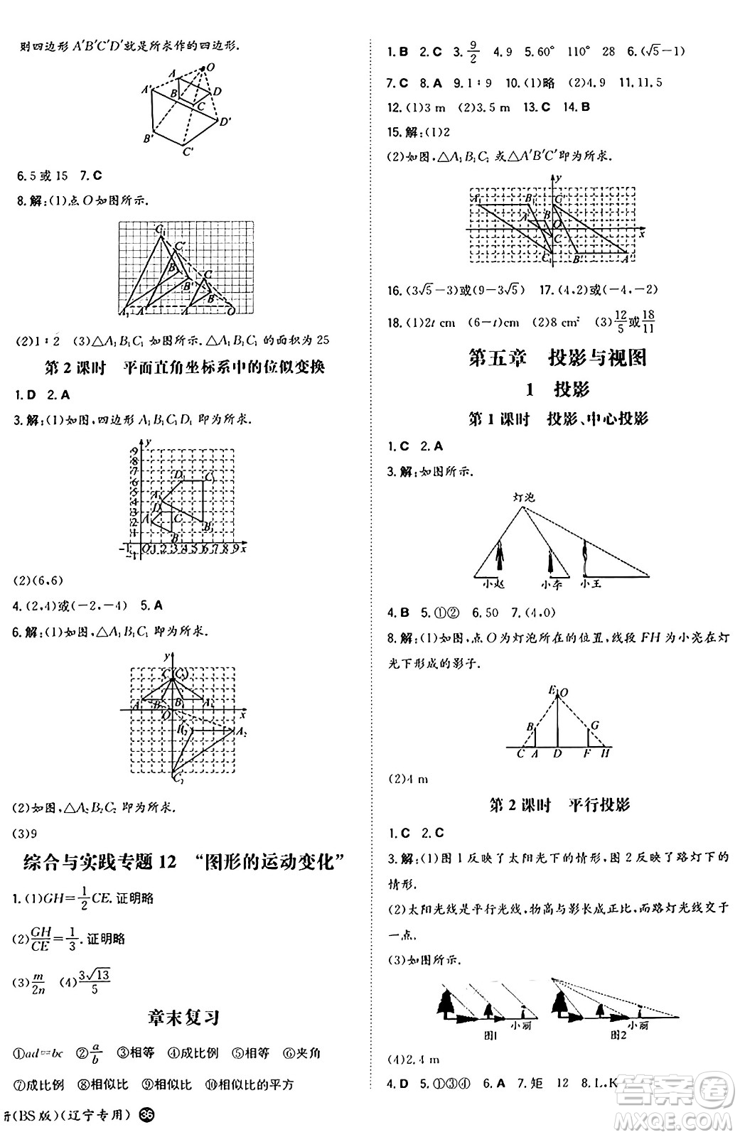 湖南教育出版社2024年秋一本同步訓練九年級數(shù)學上冊北師大版遼寧專版答案