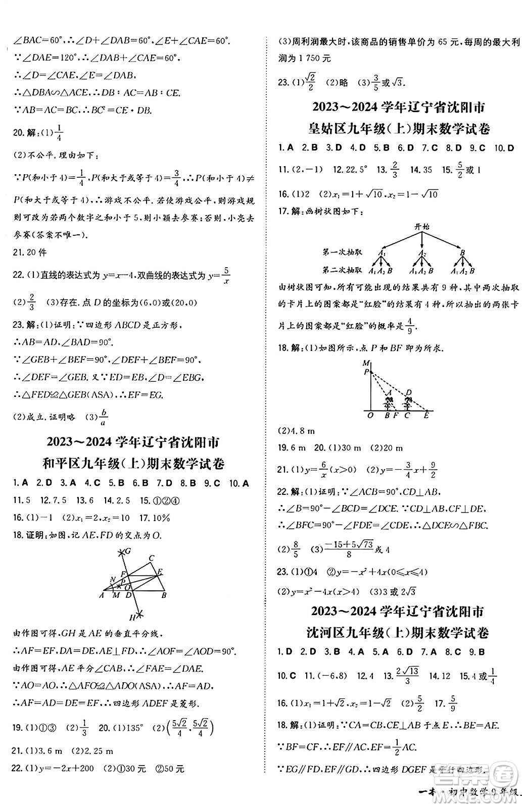 湖南教育出版社2024年秋一本同步訓練九年級數(shù)學上冊北師大版遼寧專版答案