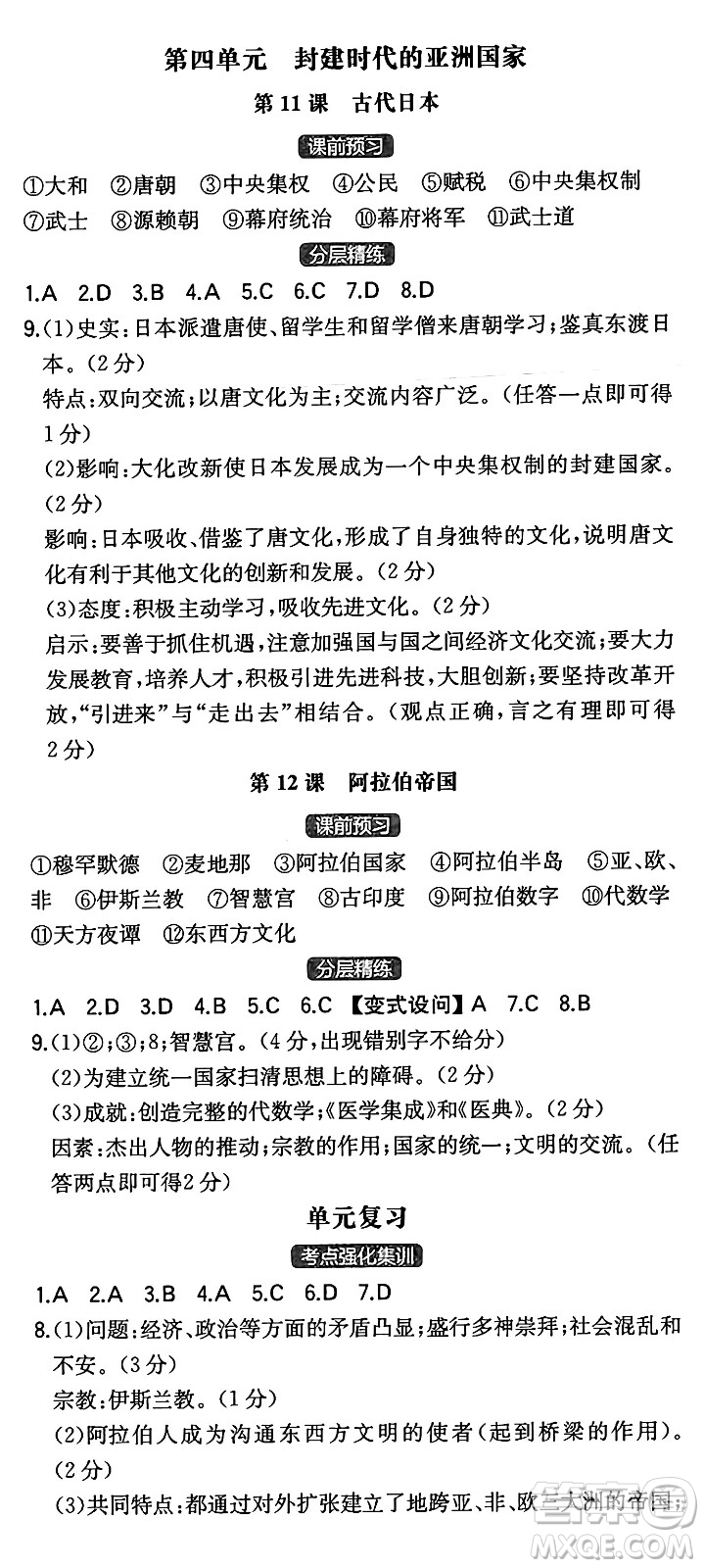 湖南教育出版社2024年秋一本同步訓(xùn)練九年級(jí)歷史上冊(cè)人教版陜西專(zhuān)版答案