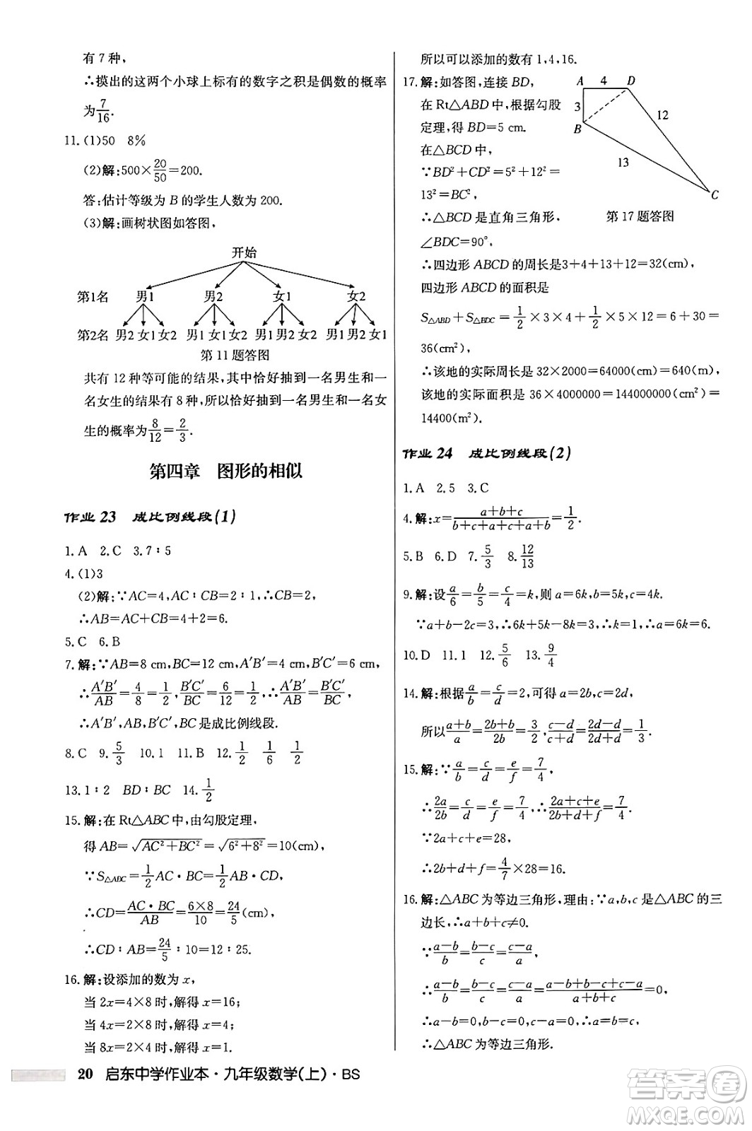 龍門(mén)書(shū)局2024秋啟東中學(xué)作業(yè)本九年級(jí)數(shù)學(xué)上冊(cè)北師大版答案