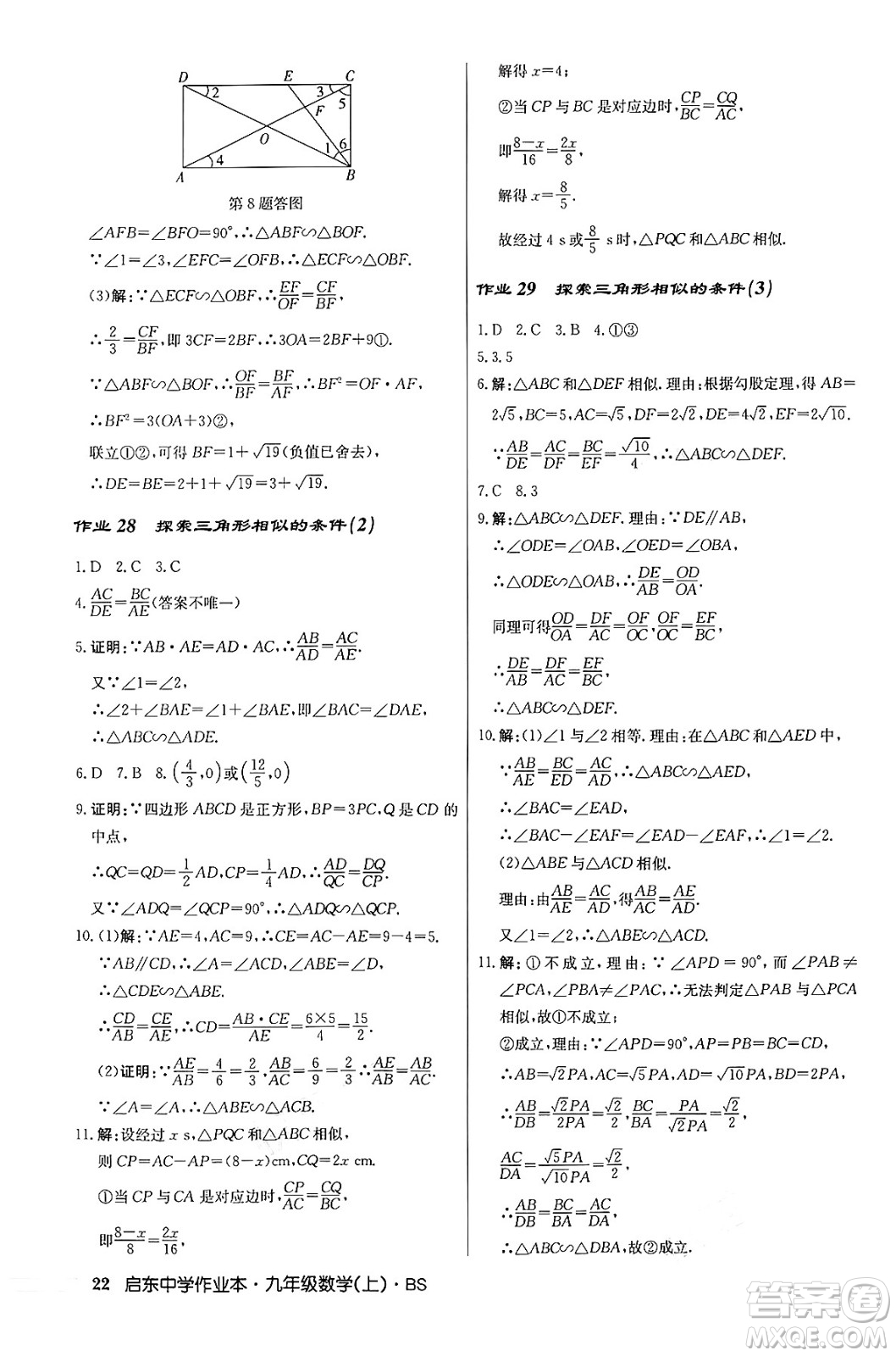 龍門(mén)書(shū)局2024秋啟東中學(xué)作業(yè)本九年級(jí)數(shù)學(xué)上冊(cè)北師大版答案