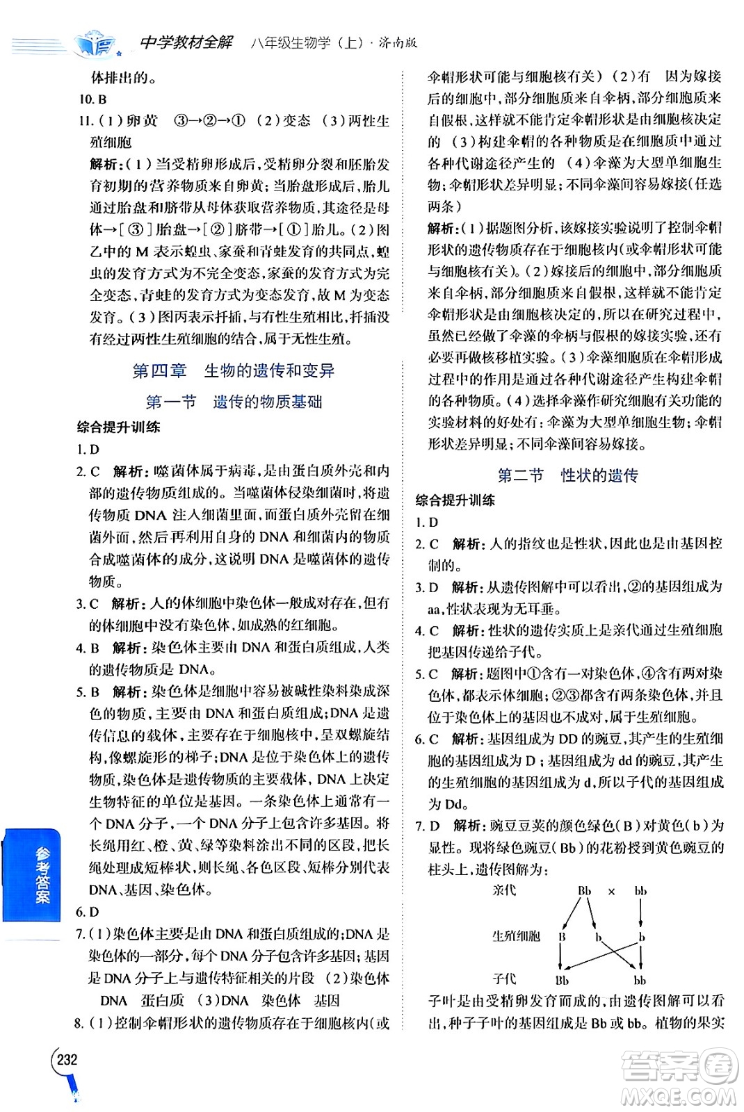 陜西人民教育出版社2024年秋中學教材全解八年級生物上冊濟南版答案