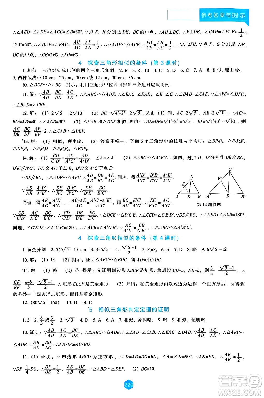 遼海出版社2024年秋新課程能力培養(yǎng)九年級數(shù)學(xué)上冊北師大版答案