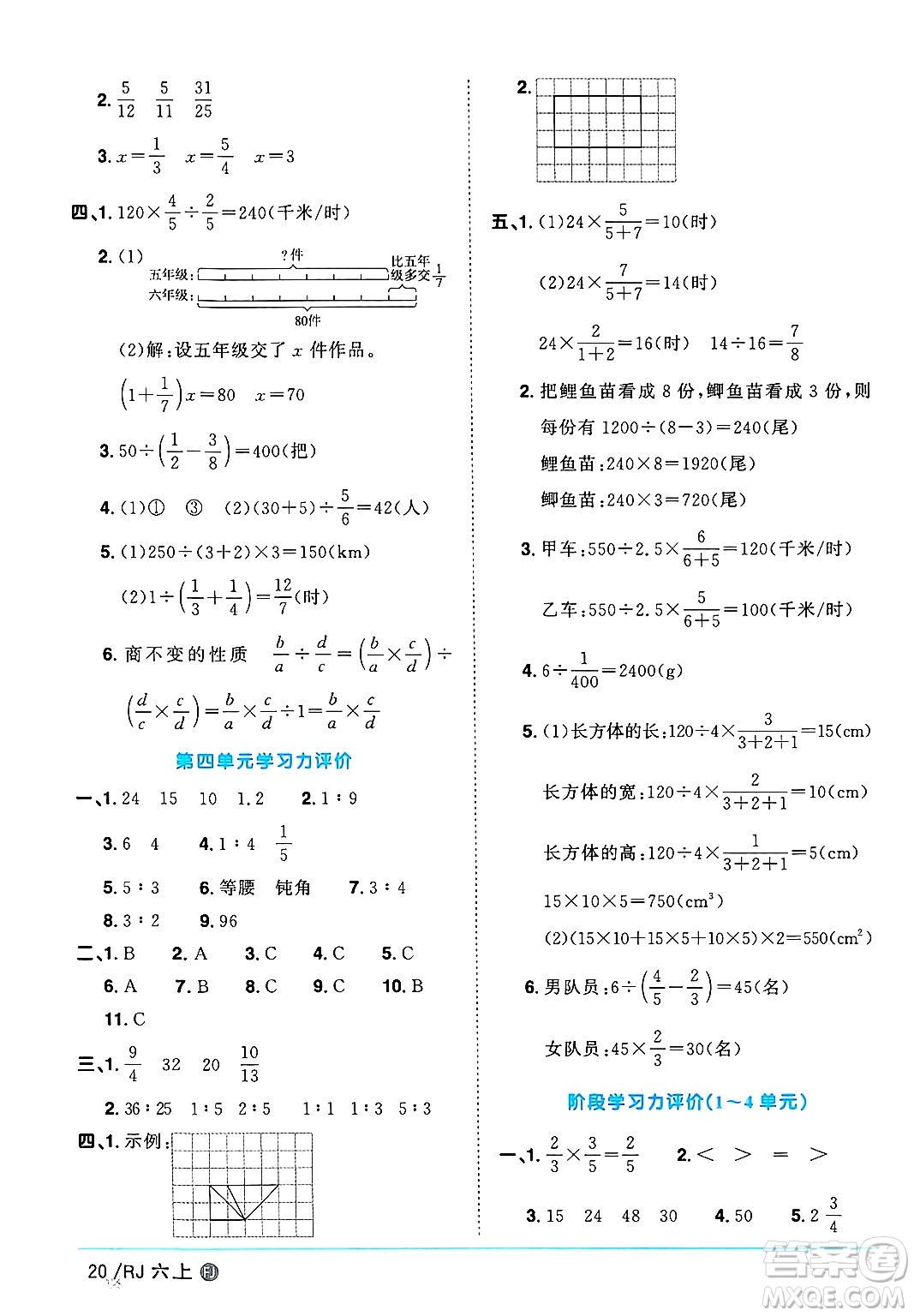 福建少年兒童出版社2024年秋陽光同學(xué)課時優(yōu)化作業(yè)六年級數(shù)學(xué)上冊人教版福建專版答案