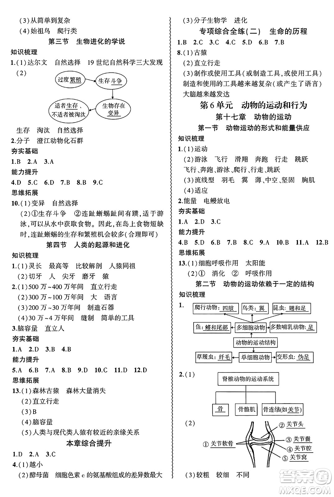 安徽大學(xué)出版社2024年秋創(chuàng)新課堂創(chuàng)新作業(yè)本八年級生物上冊蘇教版答案