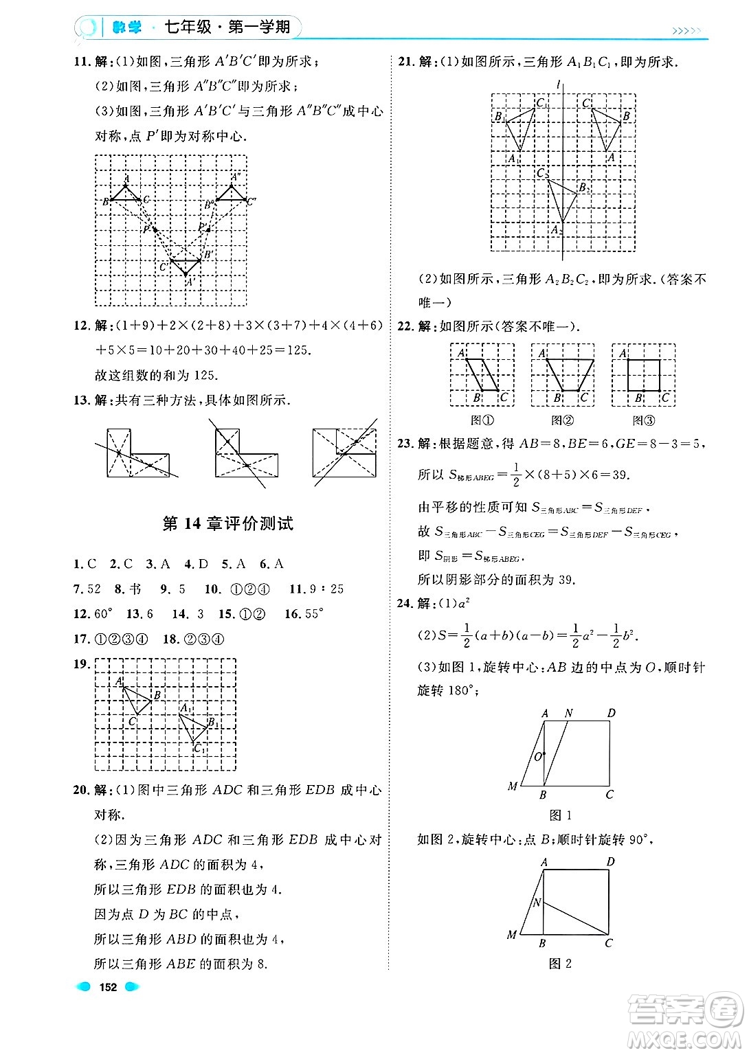 天津人民出版社2024年秋上海作業(yè)七年級(jí)數(shù)學(xué)上冊(cè)上海專版答案