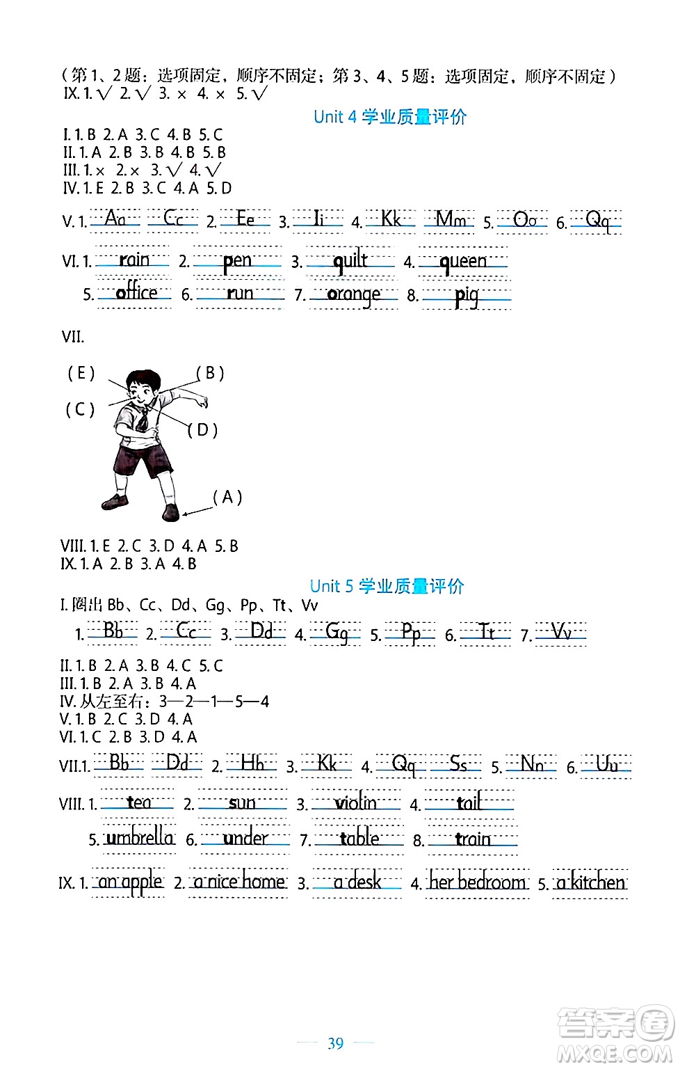 北京師范大學出版社2024年秋課堂精練三年級英語上冊北師大版福建專版三起點答案