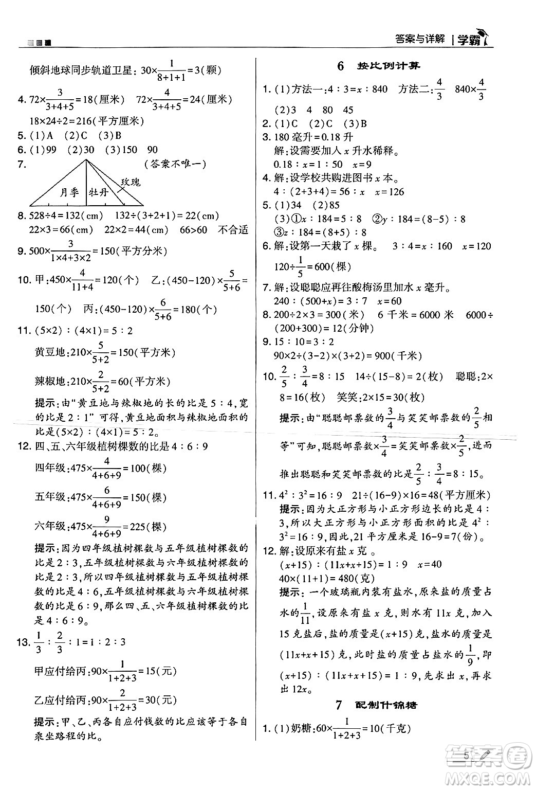 河海大學出版社2024年秋5星學霸六年級數(shù)學上冊冀教版答案