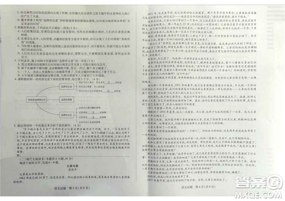 湖南省天一大聯(lián)考2024-2025學年高三11月聯(lián)考語文試卷答案