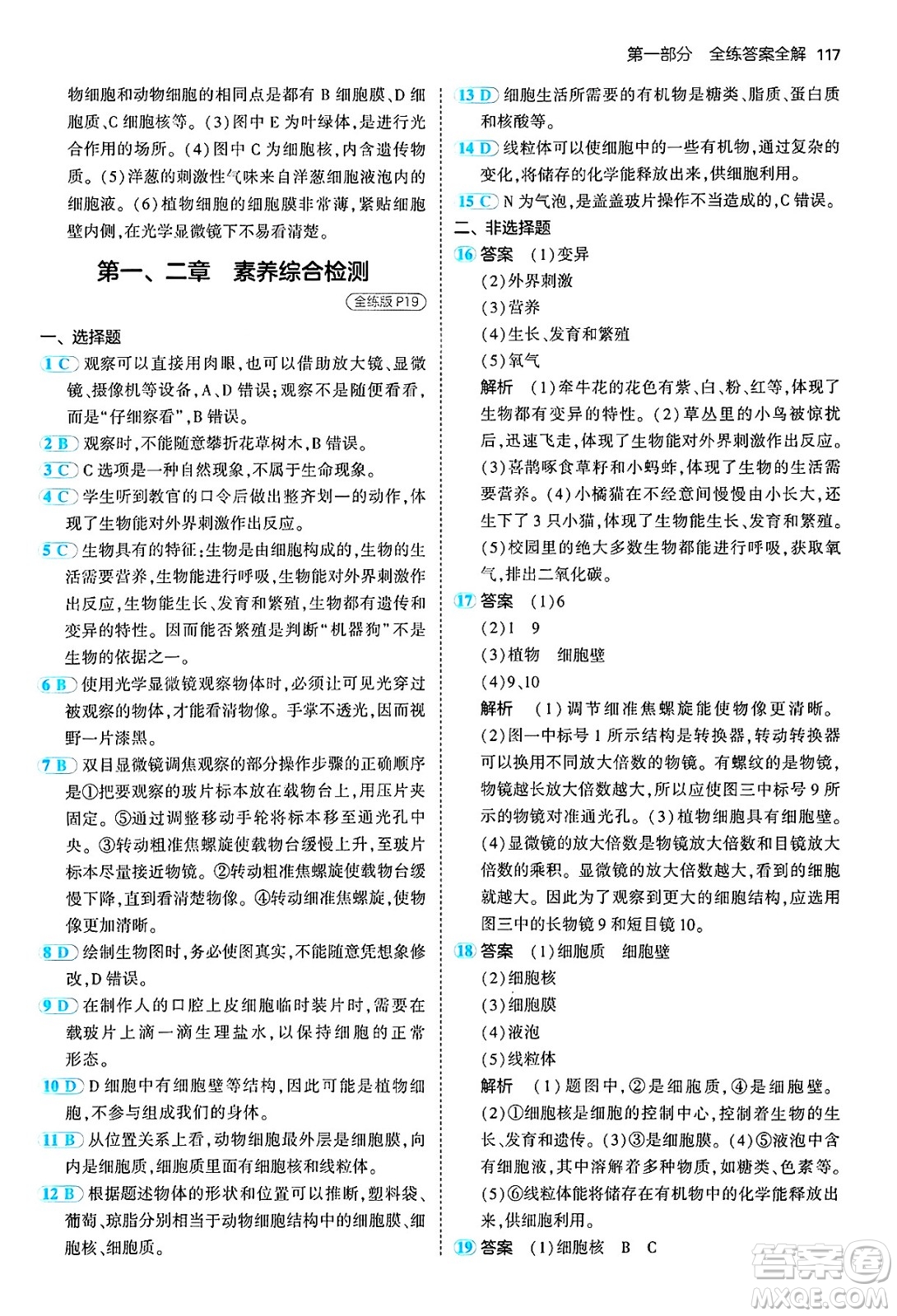 四川大學(xué)出版社2024年秋初中同步5年中考3年模擬七年級(jí)生物上冊(cè)人教版答案